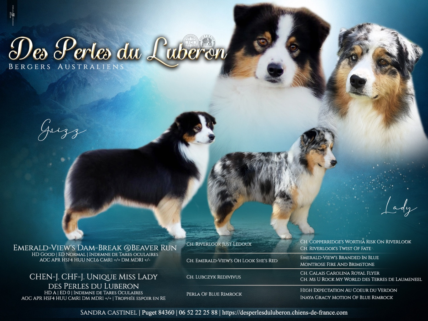 Bientôt des bébés !!